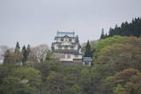 出羽 稲庭城の写真
