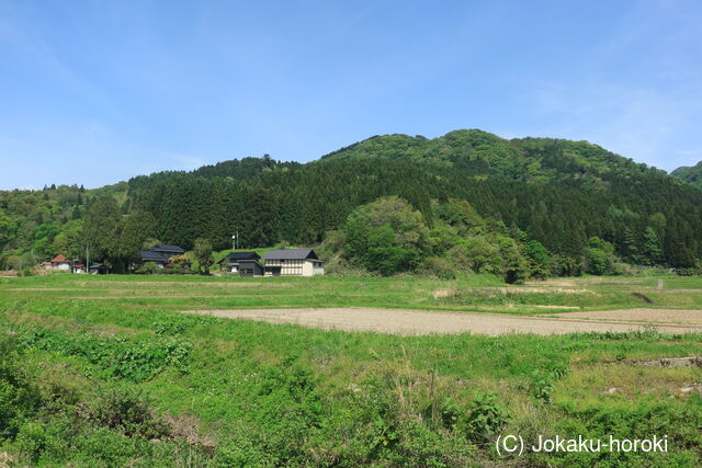 出羽 磐井出楯の写真