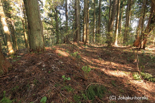 出羽 大館(戸沢村)の写真