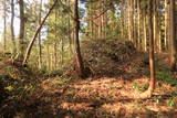 出羽 大館(戸沢村)の写真