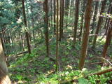 出羽 中山城の写真