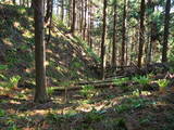 出羽 中山城の写真