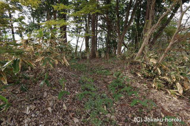 出羽 金谷館(米沢市)の写真