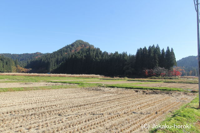 出羽 松山館(金山町)の写真