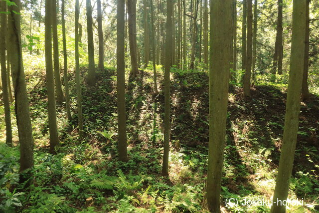 出羽 観音寺城の写真
