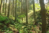 出羽 観音寺城の写真