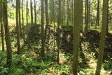 出羽 観音寺城の写真