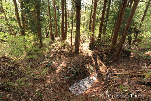 出羽 川前館の写真