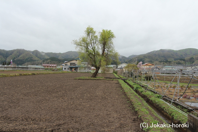 出羽 桐木田館の写真