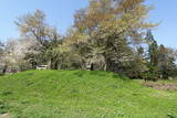 出羽 小松城の写真