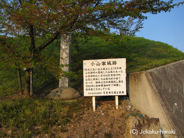 出羽 小山家城の写真