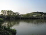 出羽 小山家城の写真