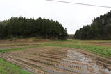 出羽 熊野楯の写真