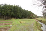 出羽 熊野楯の写真