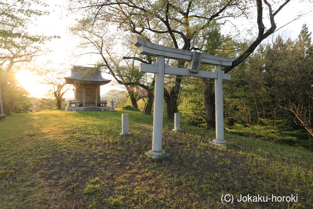 出羽 前崎山城の写真