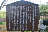 出羽 丸岡城の写真