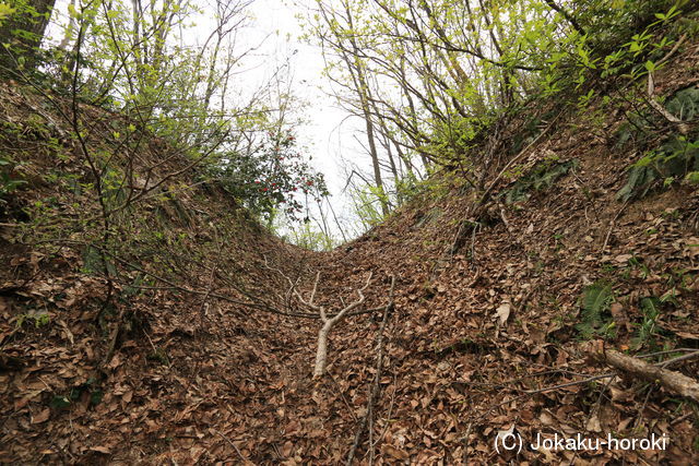 出羽 新城山館(増田町)の写真