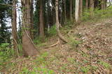 出羽 新城山館(増田町)の写真