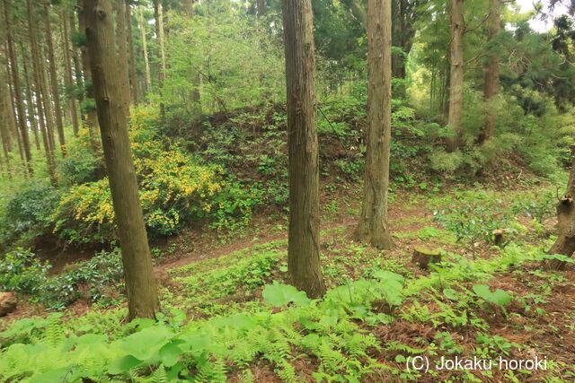 出羽 百川館の写真