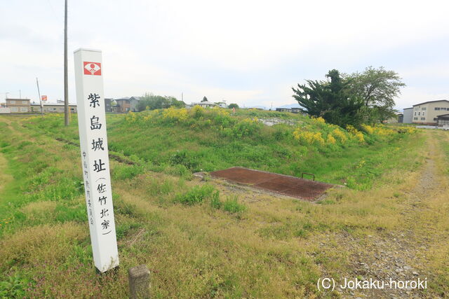 出羽 紫島城の写真