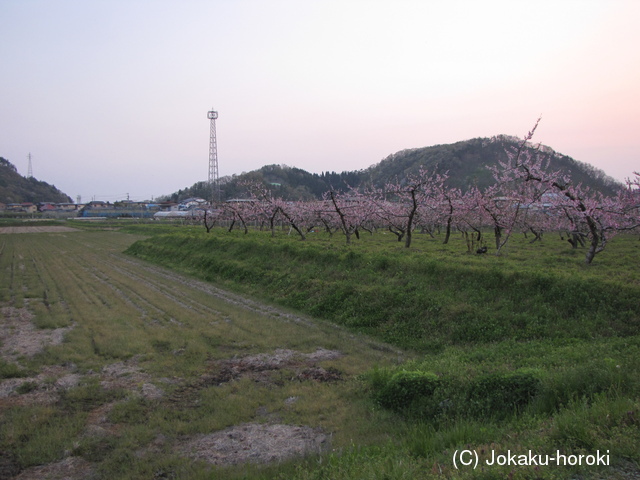 出羽 中島館の写真