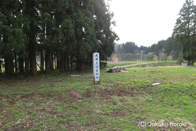 出羽 大巻館(南外村)の写真