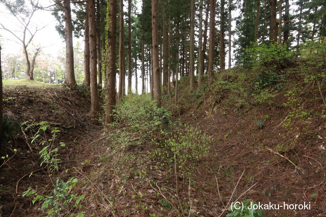 出羽 成島館の写真