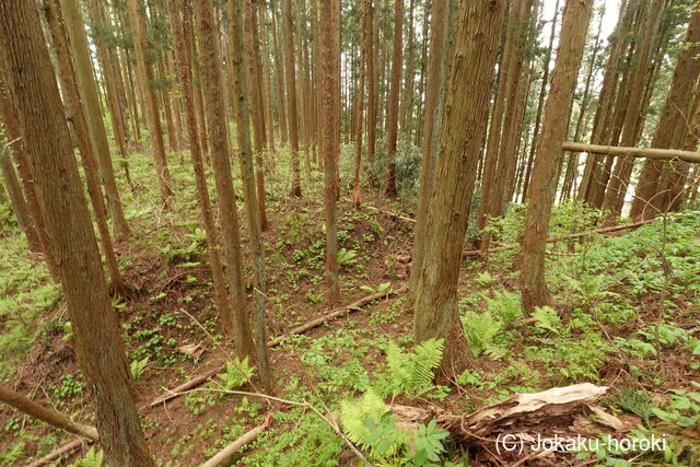 出羽 根井館の写真