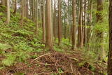 出羽 根井館の写真