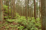 出羽 根井館の写真