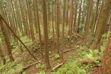 出羽 根井館の写真