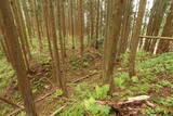 出羽 根井館の写真