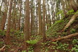 出羽 根井館の写真