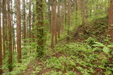 出羽 根井館の写真