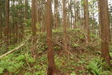 出羽 根井館の写真
