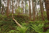 出羽 根井館の写真