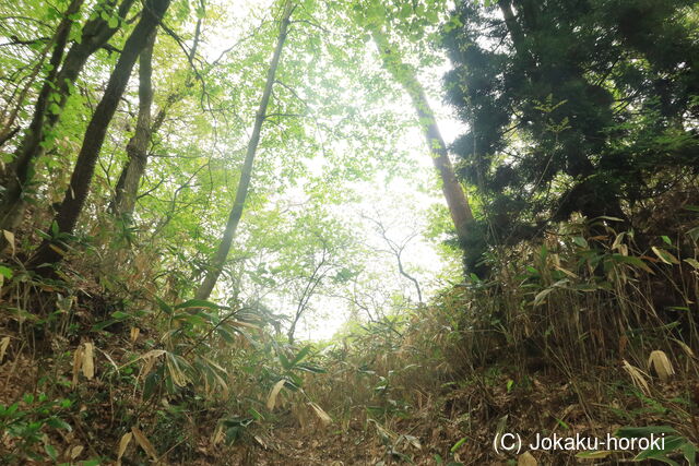 出羽 大堤館の写真
