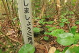 出羽 大堤館の写真