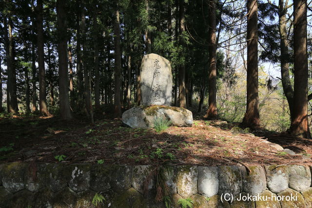 出羽 鬼甲城の写真