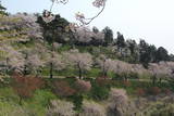 出羽 尾浦城の写真
