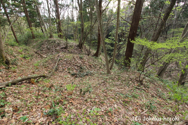 出羽 山内城の写真