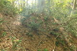 出羽 獅子岩城の写真