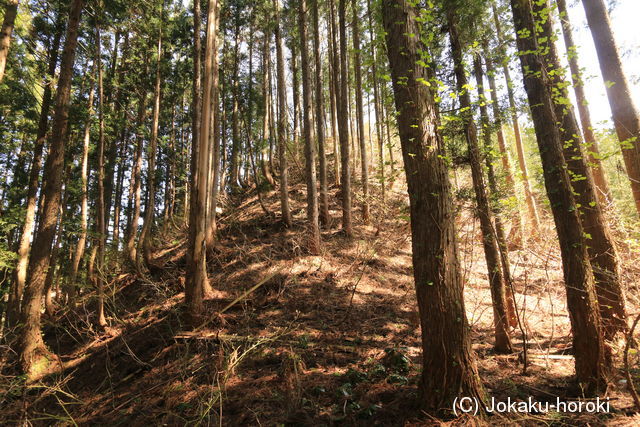 出羽 高坂館の写真