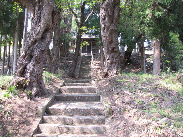 出羽 高瀬山楯の写真