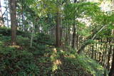 出羽 楯岡城の写真