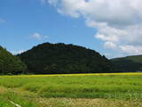 出羽 田沢楯の写真