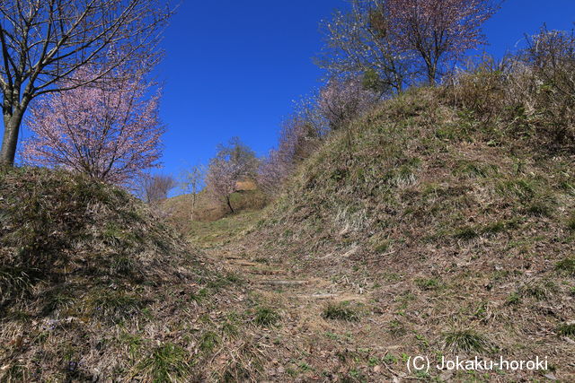 出羽 源治館(戸沢村)の写真