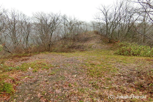 出羽 戸沢城の写真