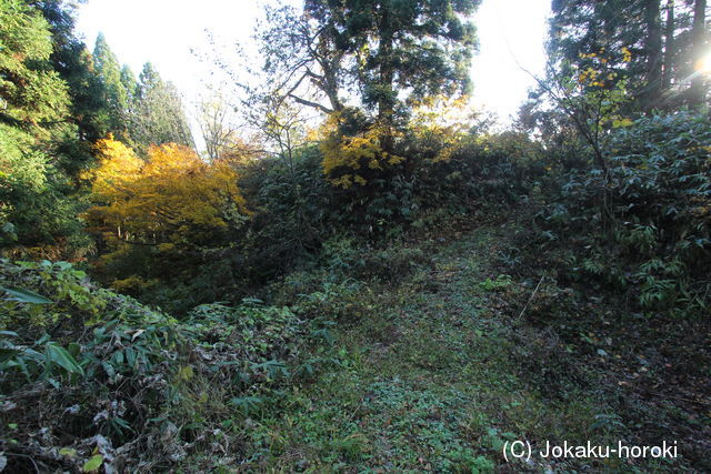 出羽 安部館(戸沢村)の写真