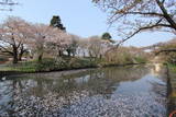 出羽 鶴ヶ岡城の写真